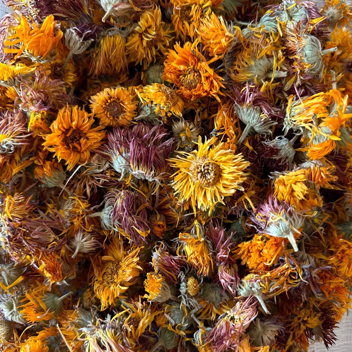 Calendula Body Butter