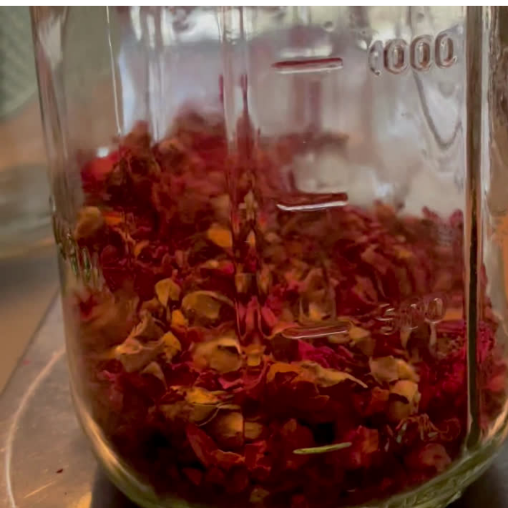 Self Love Rose Face Oil