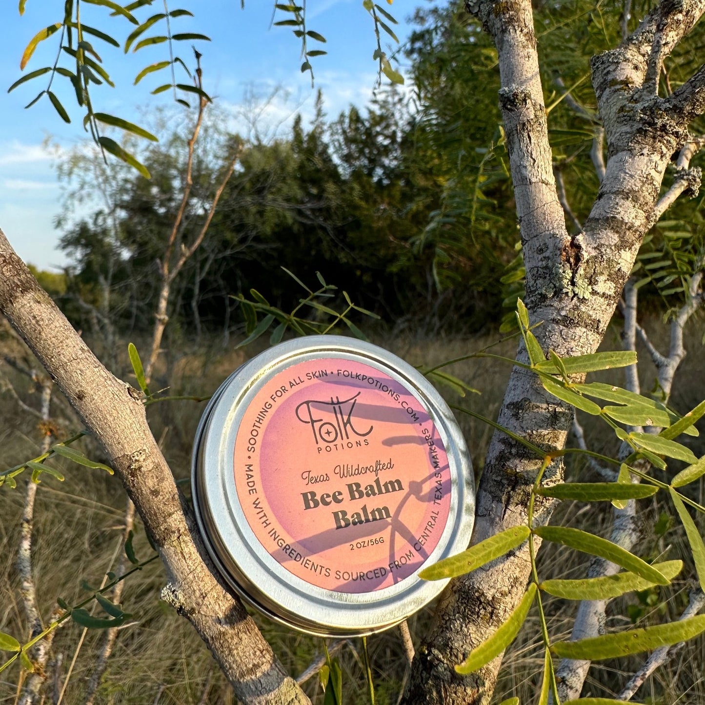 Texas Wildcrafted Bee Balm Balm