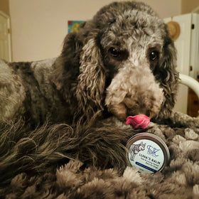 Luna’s Balm! A dog-safe balm