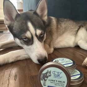 Luna’s Balm! A dog-safe balm